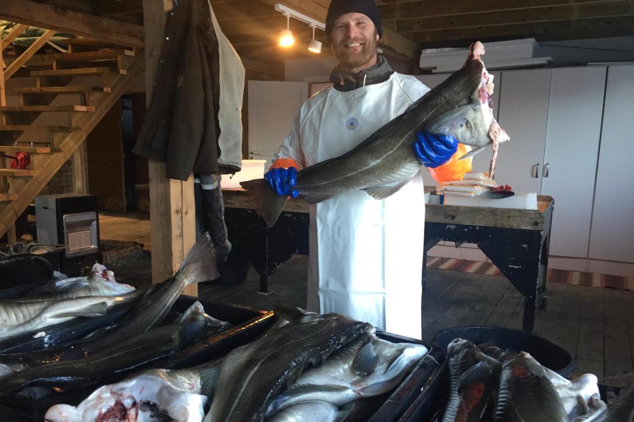 База отдыха Kalle I Lofoten